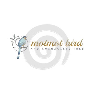 MOTMOT BIRD AND GUANACASTE TREE