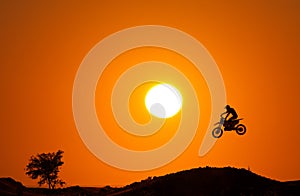 Moto x tree sunset