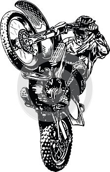 Motocross Bike Wheely Vector Illustration