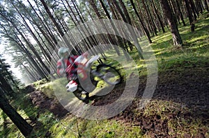 Motocross through forest