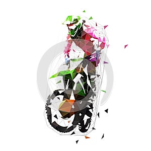 Motocross rider with motorcycle, isolated low poly illustration