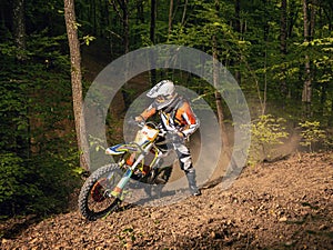 Motocyclist rides through the forest