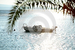 Motor boat anchored in sea