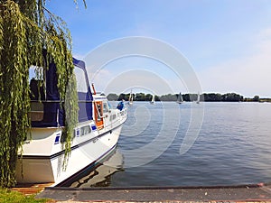 Motor boat dock and weeping willow tree at sea