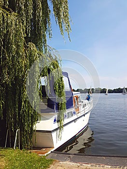 Motor boat dock and weeping willow tree at sea