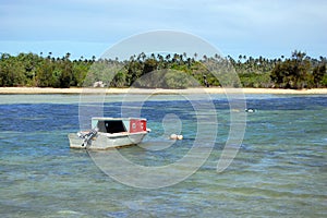 Motor boat near sandy coast with palms