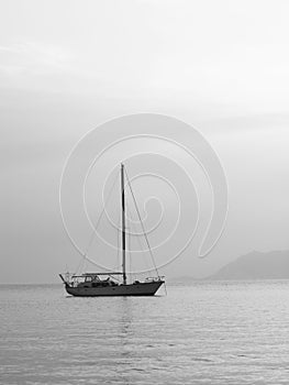 Motor boat on sea