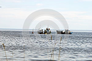 Motor boat waiting at the sea buoy