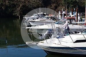 Motor Boats In Dock Slips At Marina