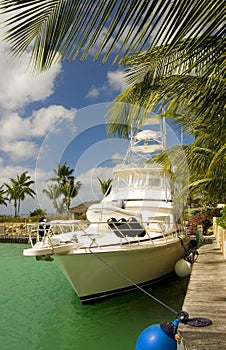 Motor cruiser photo
