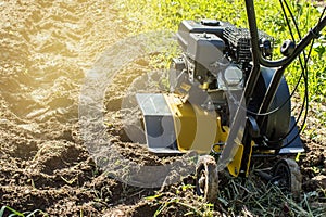 Motor cultivator fresh raw in garden soil