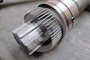 Motor gear