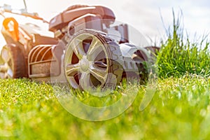 Motor mower to mow the green lawn. the sun shines on the grass