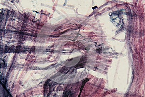 Motor nerve endings under the microscope