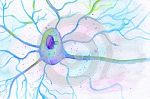 A motor neuron brain cell, hand drawn illustration