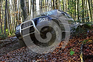 Motor racing in autumn forest. Offroad race on fall nature background. Sport utility vehicle or SUV overcomes obstacles