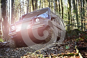 Motor racing in autumn forest. Sport utility vehicle or SUV overcomes obstacles. Offroad race on fall nature background