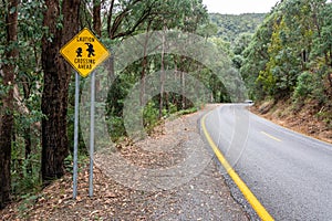 Motor road in Mt Buller district of Victorian High Country in Australia, with Gnome Crossing sign