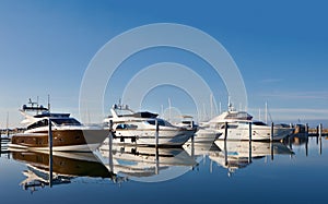 Motor yachts in marina