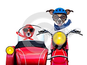 Motorbike dogs