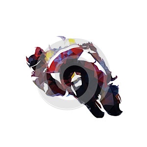 Motorbike racing, polygonal vector illustration