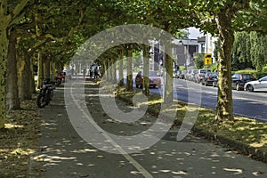 Motorbikes parked along a cycle lane covered by trees in Dusseldorf, Germany.