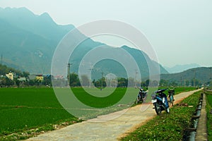 Motorbikes on the road in rice fields on a blue mountains background