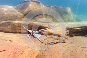 Motorboat anchor underwater with large boulders in Lake Superior Munising