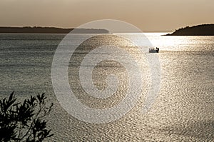 A motorboat cruising at sunset on a quiet river with the horizon and an island in the background