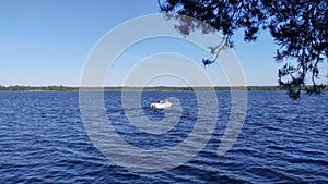 A motorboat glides along the lake. The wind creates a wave on the water. There are bushes and trees on the shore. A branch of a pi