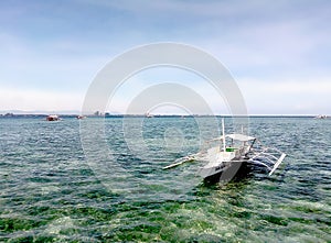 Motorboat in the island`s fish sanctuary