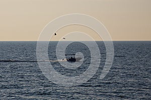 Motorboat sailing in the sea at high speed. A seagull hovers over the boat. Sea fishing