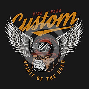 Motorcycle colorful logo
