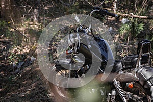 Motorcycle parked in the woods