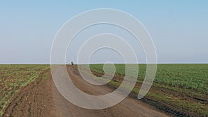 Motorcycle rides on a dirt road through a green field