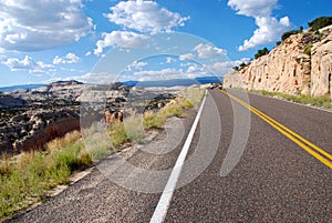 motorcycle riding in Colorado