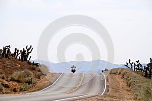 Motorcycle riding in desert