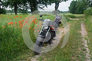 motorcycle on the roadside near the fields .