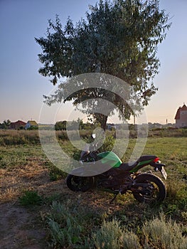 Motorcycle standing under alone tree in sunny weather