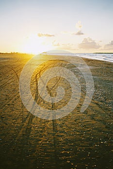 Motorcycle tracks in the golden beach sand