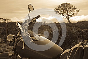 Motorcycle and Tree