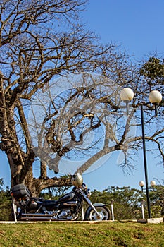 motorcycle and tree