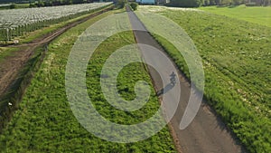 Motorcyclist rides motorbike past vineyard at sunset