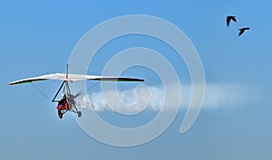 Motorized Hang Glider
