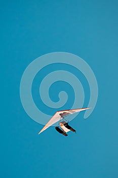 Motorized Hang Glider Flying On Blue Clear Sunny Sky Background