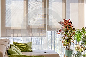 Motorized roller blinds with remote control