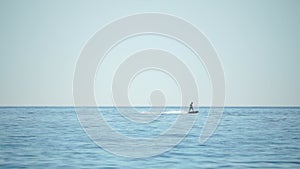 A motorized surfboard with a rider moving on a calm sea. The silhouette of a man on a water scooter glides through the