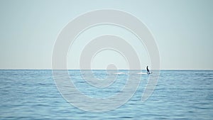 A motorized surfboard with a rider moving on a calm sea. The silhouette of a man on a water scooter glides through the