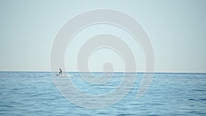 A motorized surfboard with a rider moving on a calm sea. The silhouette of a man on a water scooter glides through the