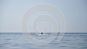 A motorized surfboard with a rider moving on a calm sea. The silhouette of a man on a water scooter glides through the